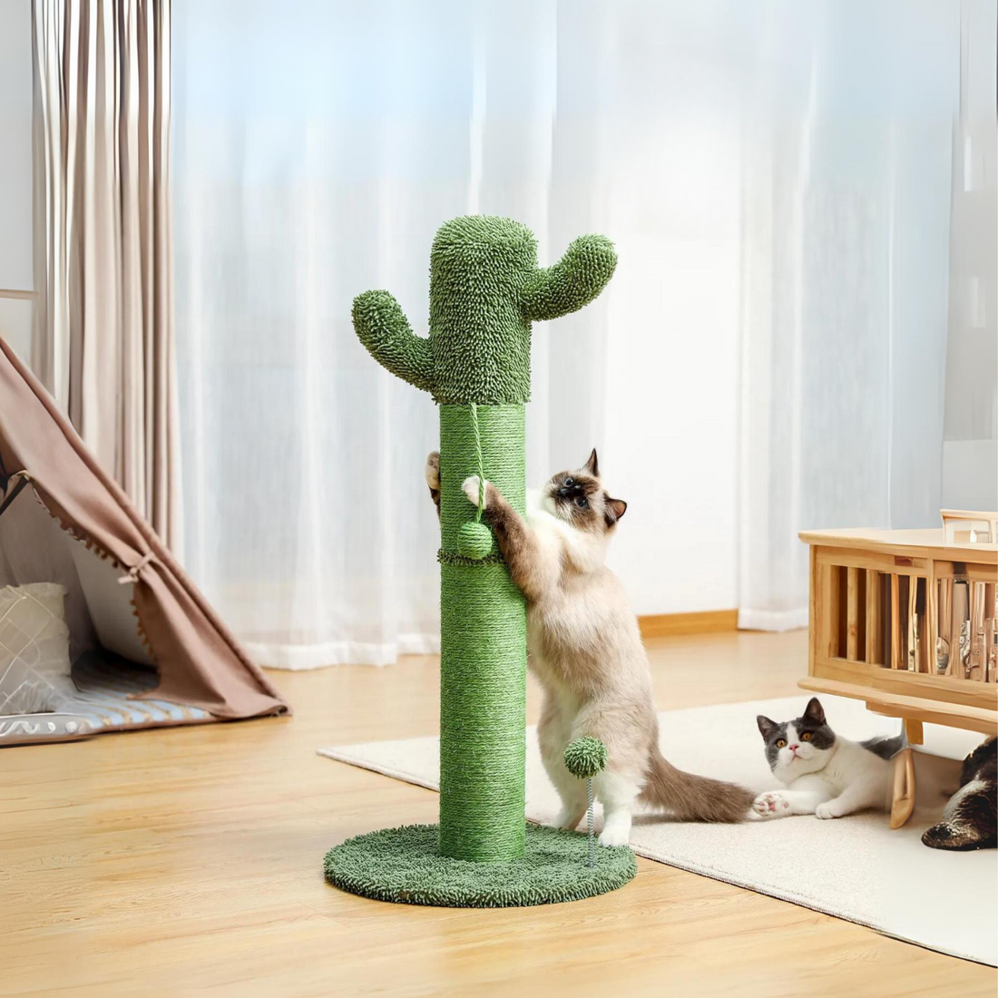 How to Encourage Your Cat to Use a Scratching Post